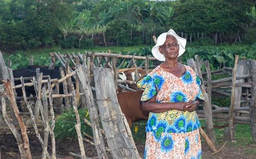 Dairy farmer in Gokwe