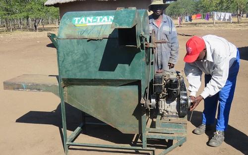 Sorghum farmer in Chiredzi