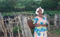 Dairy farmer in Gokwe