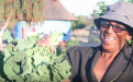 Horticulture farmer in Gokwe